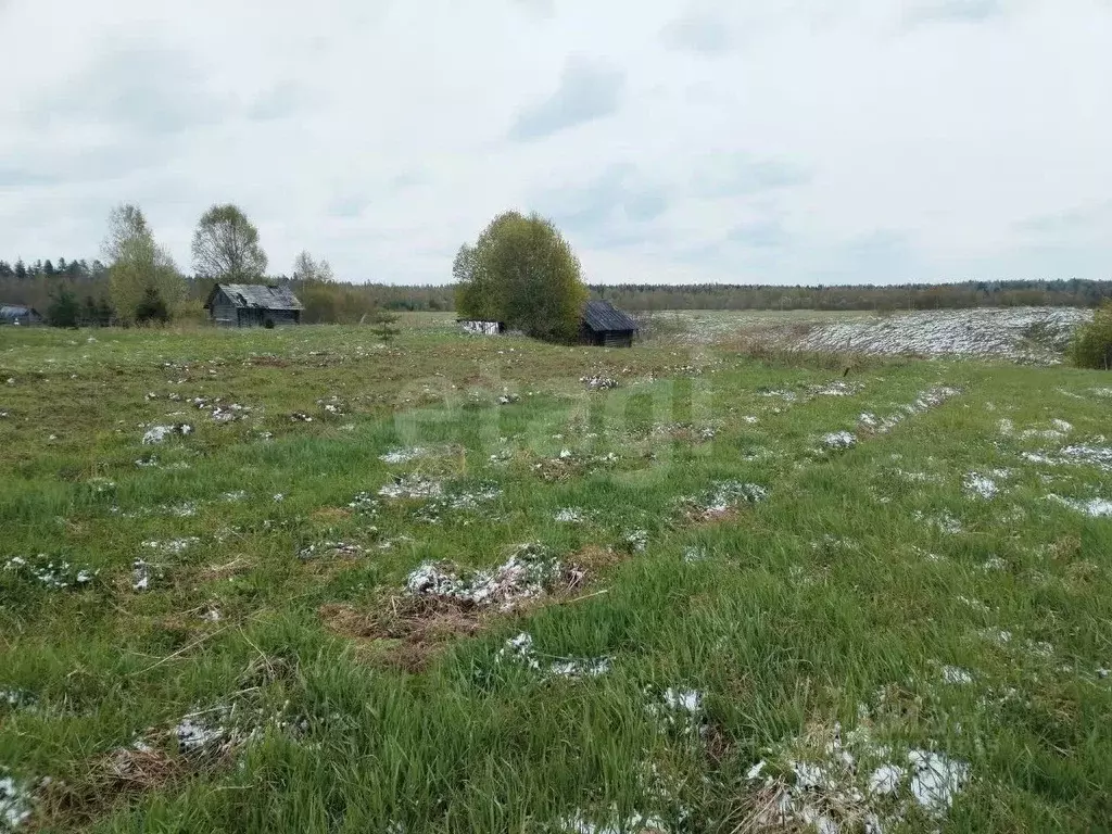 Участок в Ленинградская область, Киришский район, Будогощское ... - Фото 1