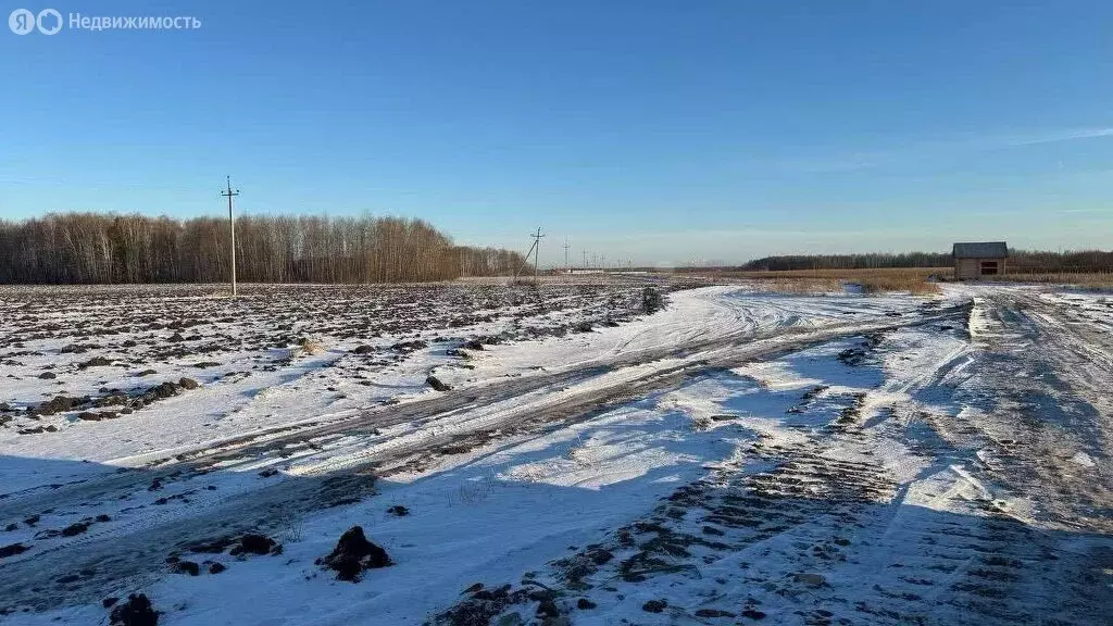 Участок в Тюменский район, село Горьковка (8.33 м) - Фото 1