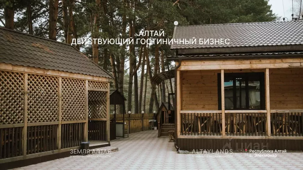 Участок в Алтай, Чемальский район, Элекмонарское с/пос, с. Элекмонар ... - Фото 1