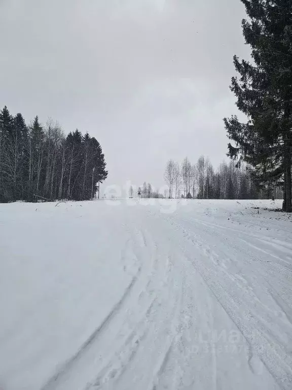Дом в Пермский край, Добрянский городской округ, д. Залесная  (42 м) - Фото 0