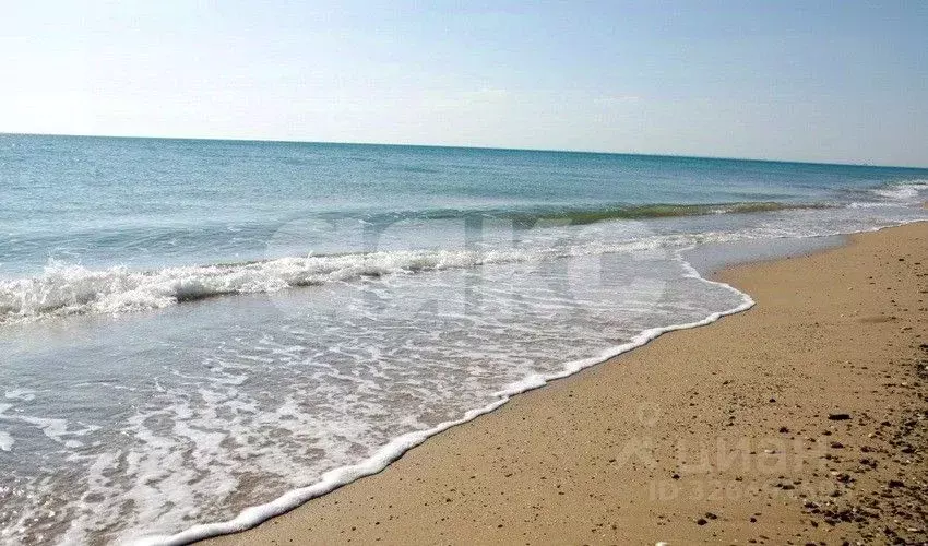 Участок в Крым, Сакский район, с. Молочное  (6.7 сот.) - Фото 1