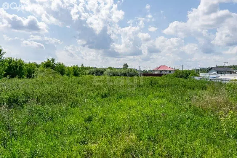 Участок в Тукаевский район, Малошильнинское сельское поселение, село ... - Фото 2