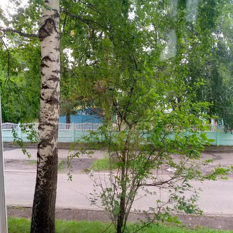 1-к кв. Красноярский край, Сосновоборск ул. Энтузиастов, 23 (35.0 м) - Фото 1