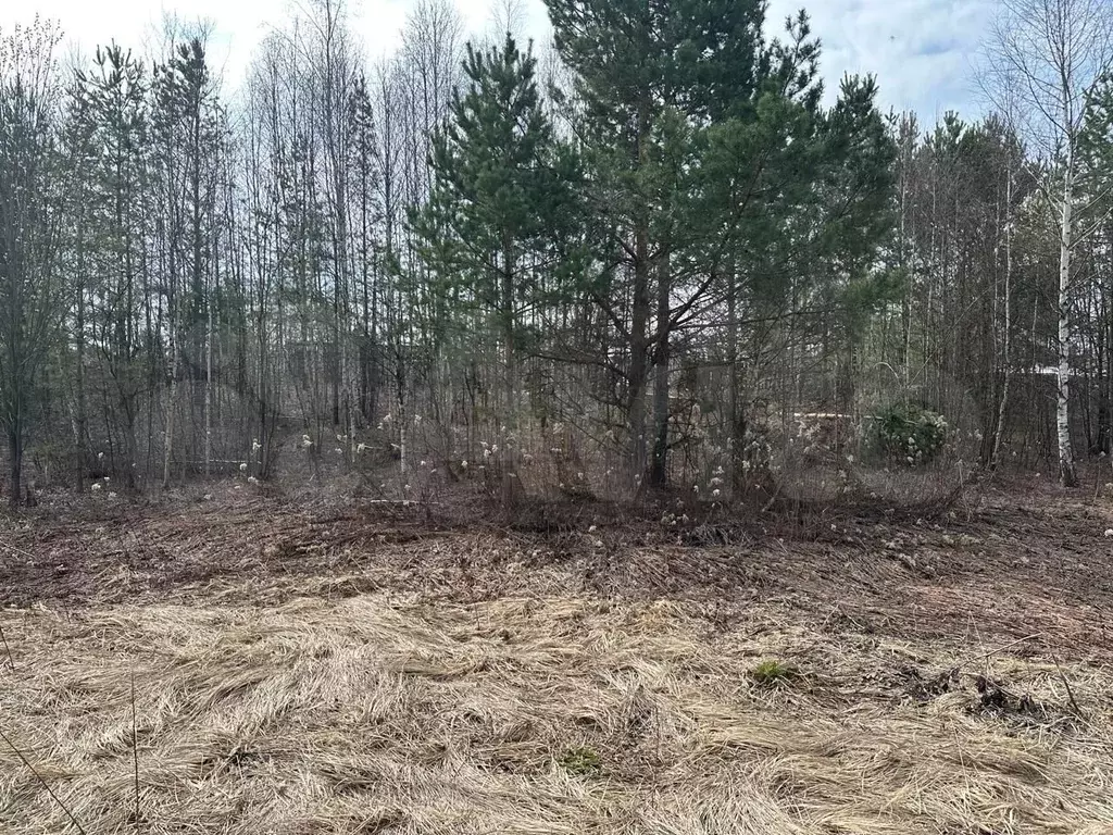 Участок 5 сот. (СНТ, ДНП) - Фото 0