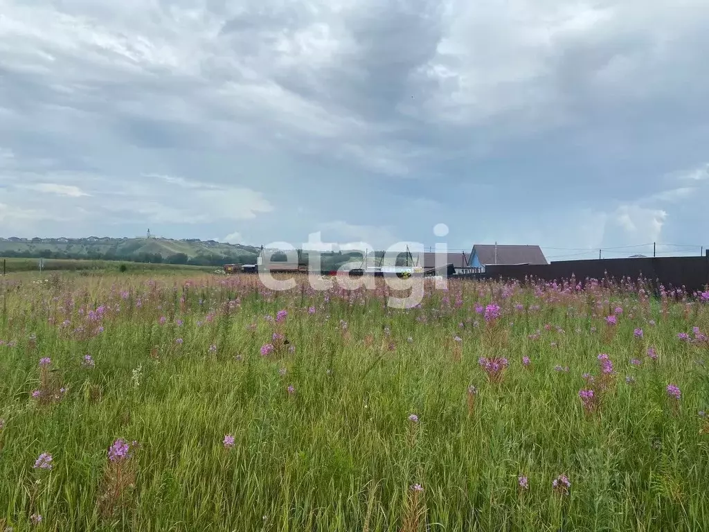 Участок в Красноярский край, Емельяновский район, Элитовский ... - Фото 0