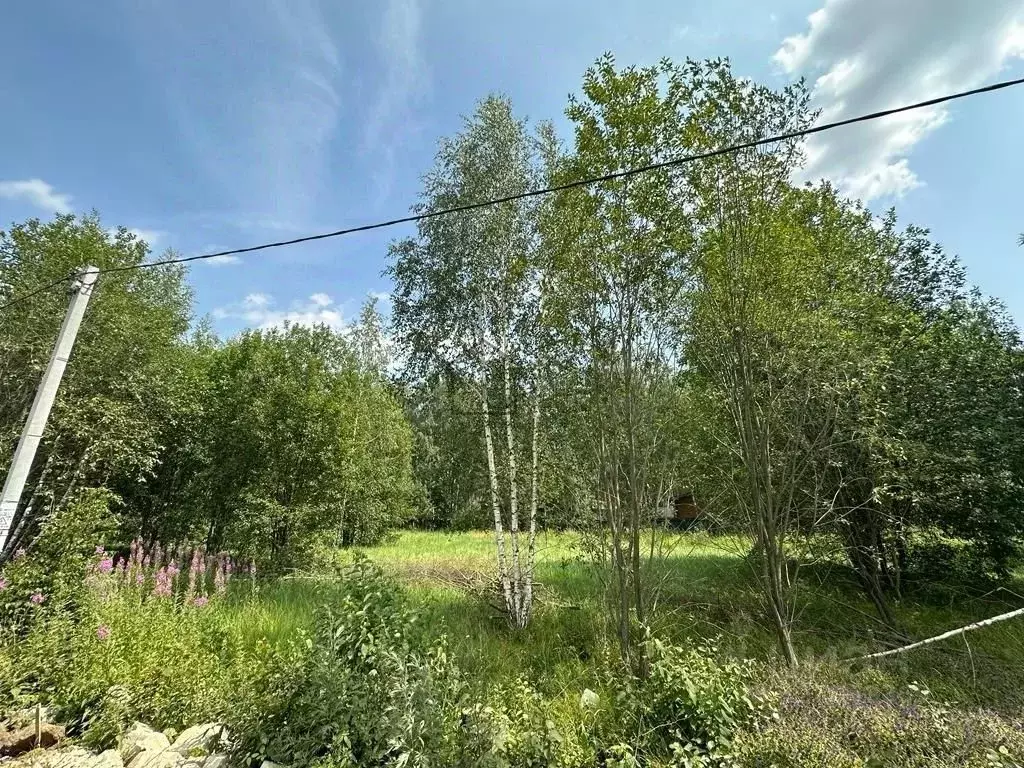 Участок в Московская область, Мытищи ул. Нахимова (20.0 сот.) - Фото 2