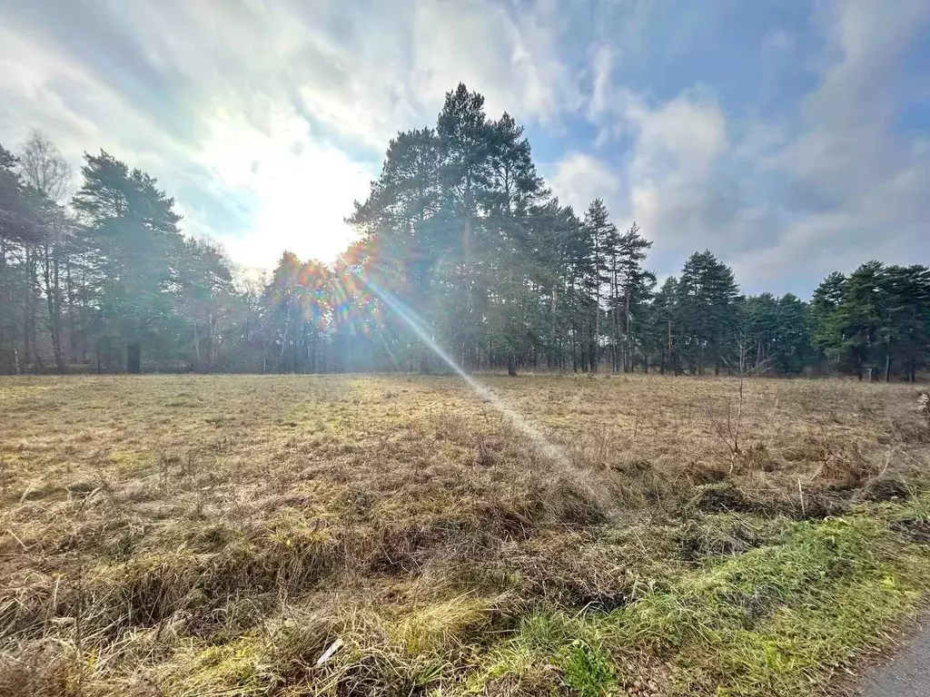 Участок в Тульская область, Заокский район, Страховское с/пос, пос. ... - Фото 1