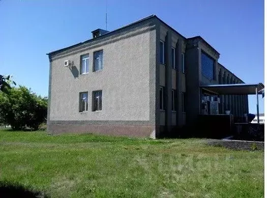 Офис в Белгородская область, Вейделевский район, с. Николаевка ул. ... - Фото 0