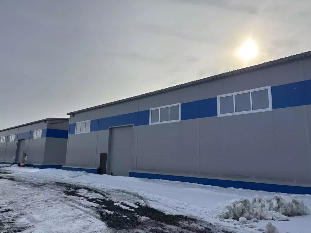 Склад в Ленинградская область, Всеволожский район, Муринское городское ... - Фото 1