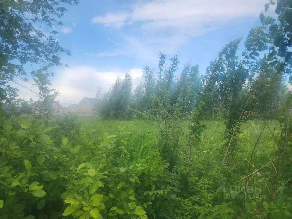 Участок в Московская область, Домодедово городской округ, д. Острожки  ... - Фото 1