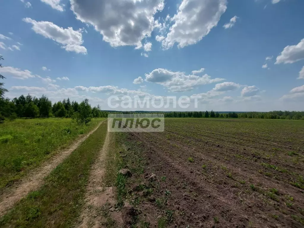 Участок в Московская область, Можайский муниципальный округ, Светлана ... - Фото 2