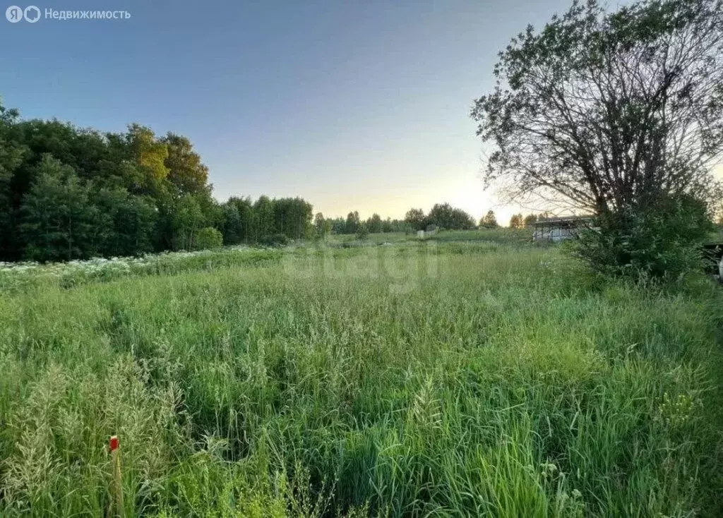 Участок в Томский район, садоводческое некоммерческое товарищество ... - Фото 1