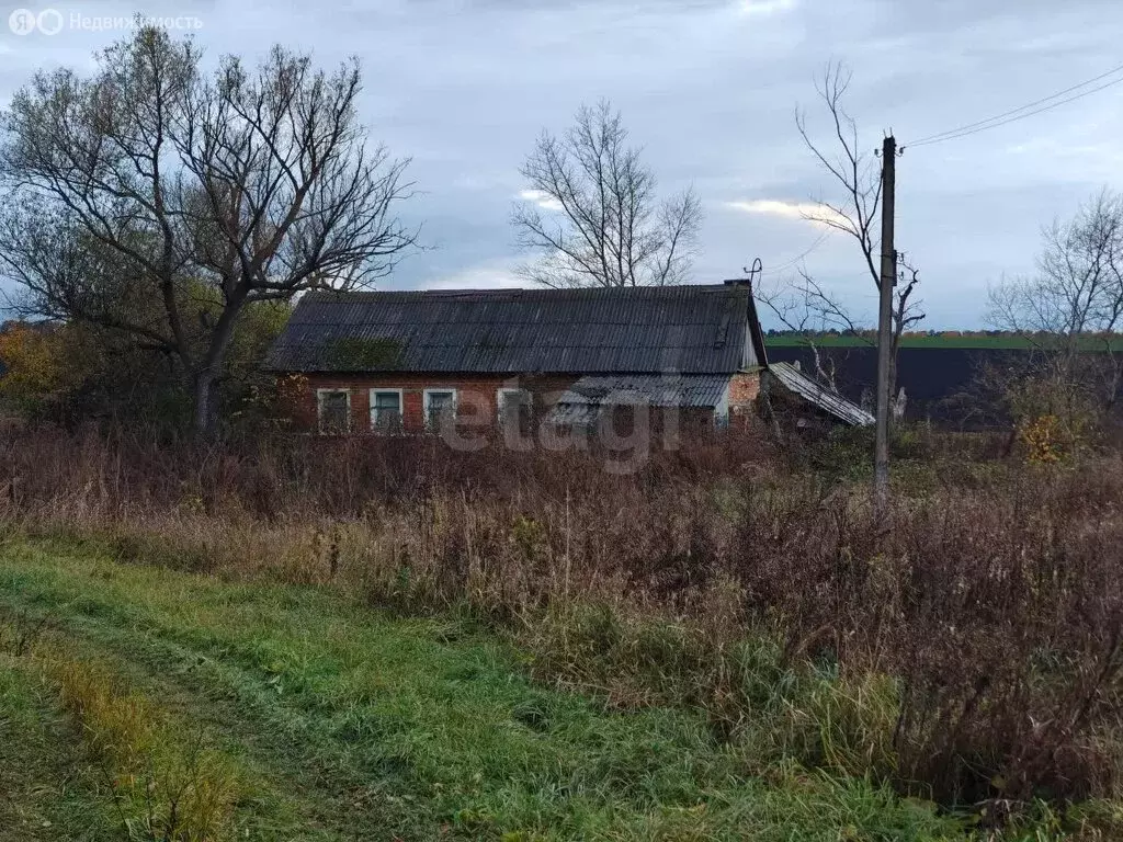 Участок в Тульская область, Тёпло-Огарёвский район, сельское поселение ... - Фото 2