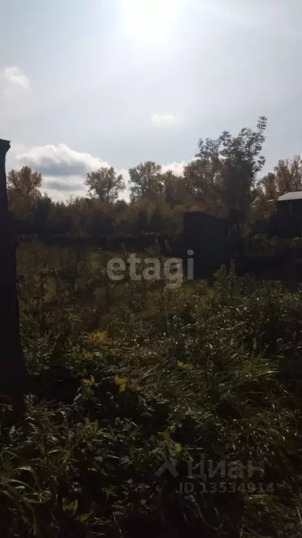 Участок в Алтайский край, Алтайский район, с. Алтайское ул. Восточная, ... - Фото 1