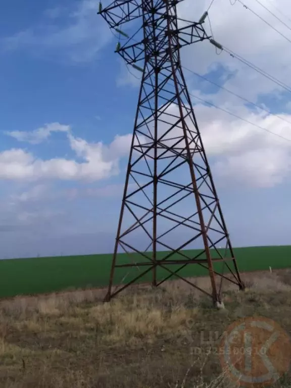 Участок в Крым, Феодосия муниципальный округ, с. Береговое  (500.0 ... - Фото 2