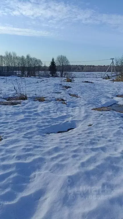 Участок в Вологодская область, д. Елгино  (8.0 сот.) - Фото 2