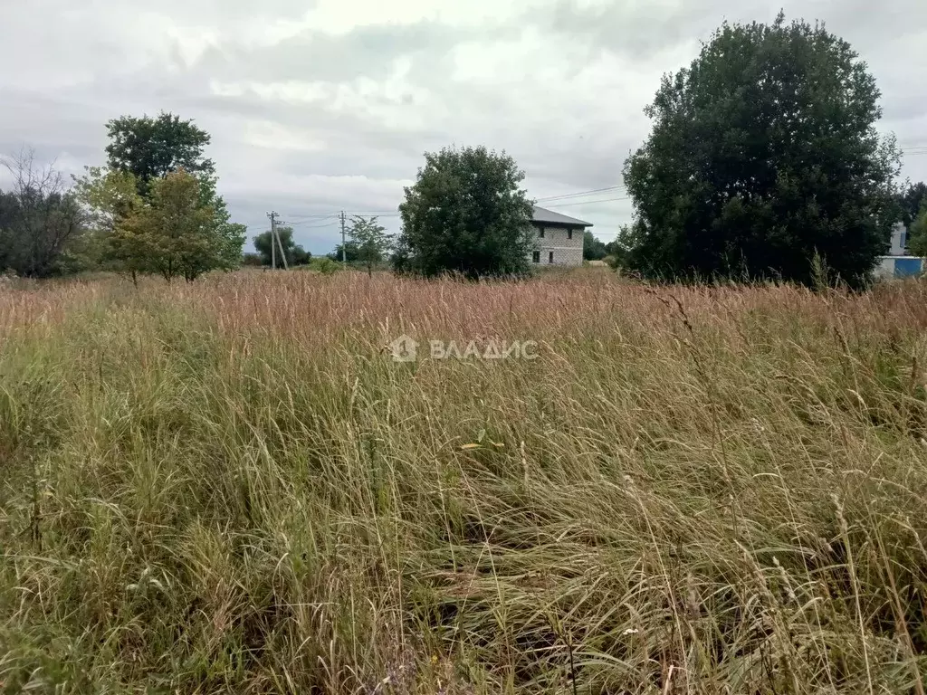 Участок в Нижегородская область, Богородский муниципальный округ, с. ... - Фото 1