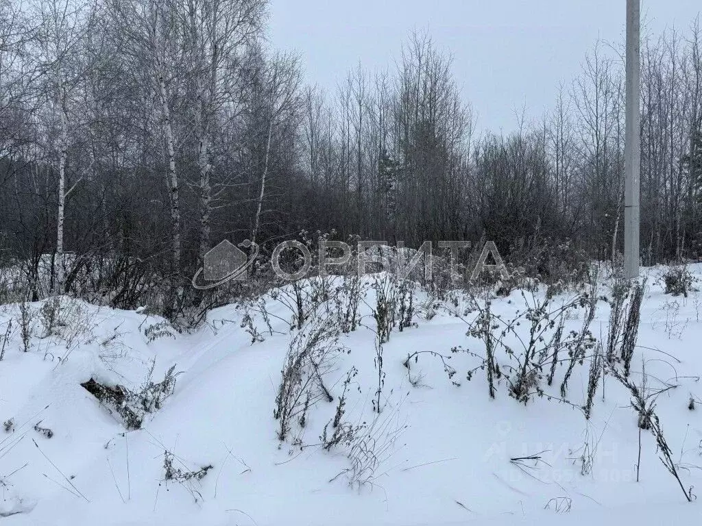 Участок в Тюменская область, Тюмень  (6.81 сот.) - Фото 2