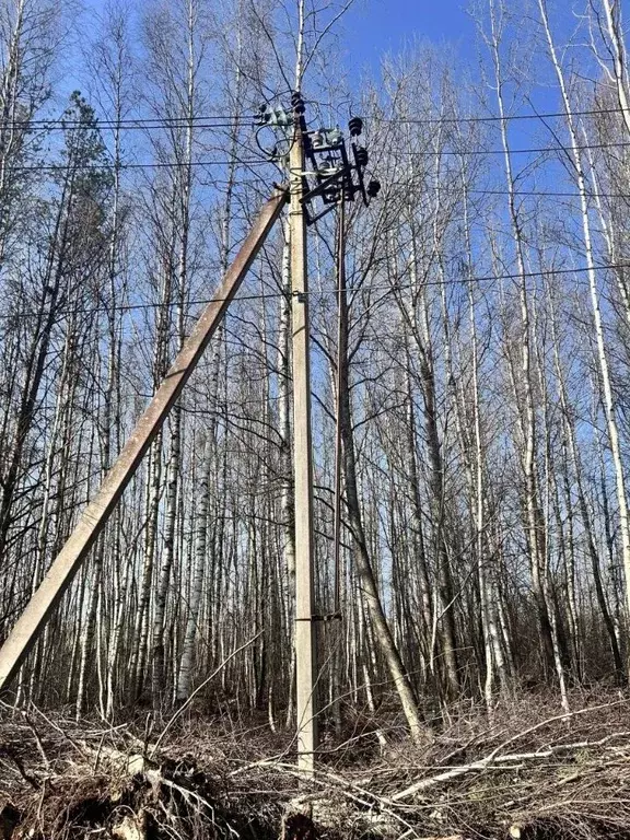 Участок в Ленинградская область, Всеволожский район, Колтушское ... - Фото 1