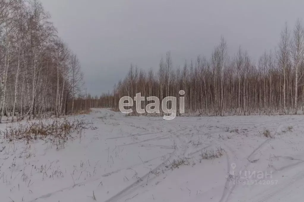Участок в Челябинская область, Сосновский район, Краснопольское с/пос, ... - Фото 0