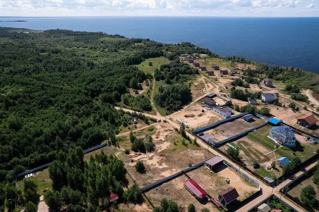 Участок в Ленинградская область, Волховский район, Потанинское с/пос, ... - Фото 2