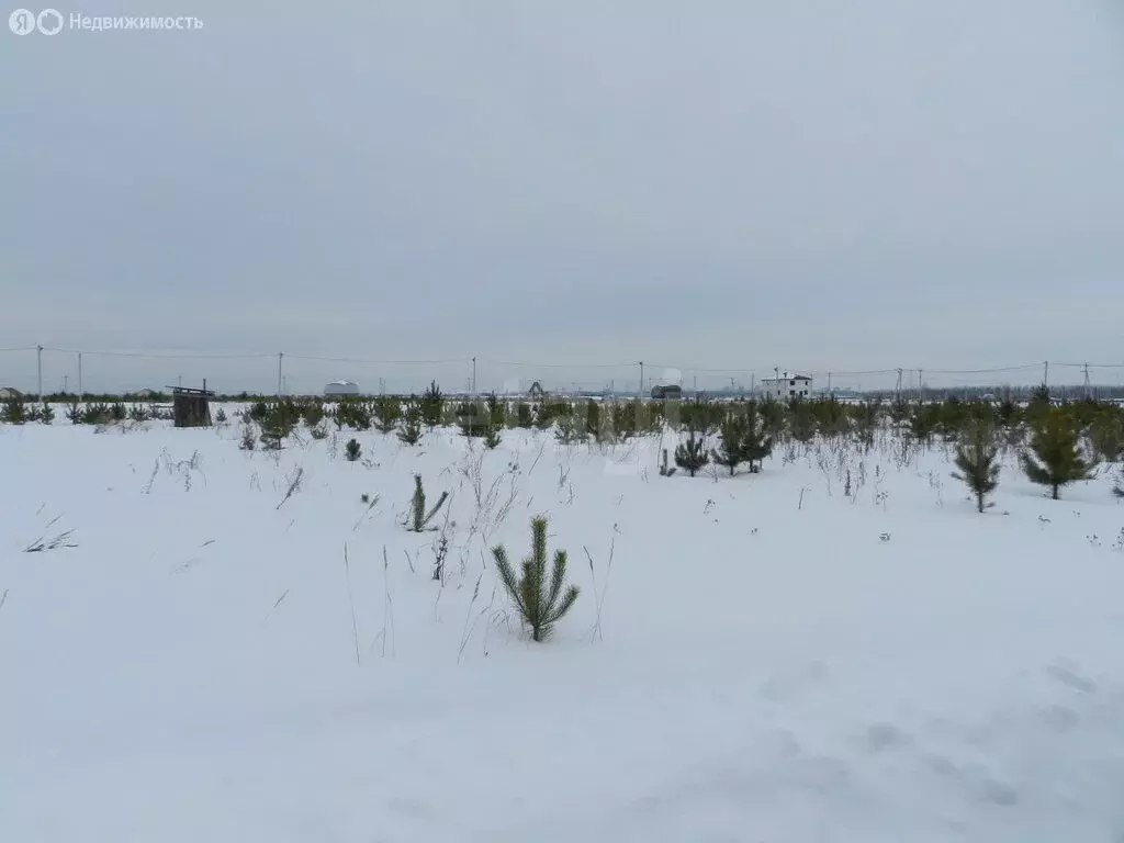 Участок в Курган, Зайково (15.25 м) - Фото 2