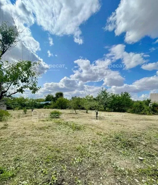 Участок в Волгоградская область, Городищенский район, Новорогачинское ... - Фото 2