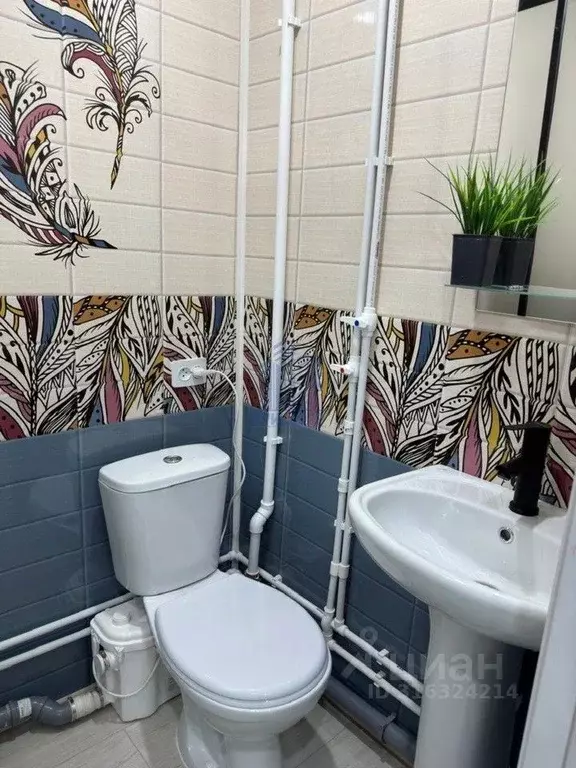 Студия Чувашия, Чебоксары Эгерский бул., 20 (17.0 м) - Фото 2