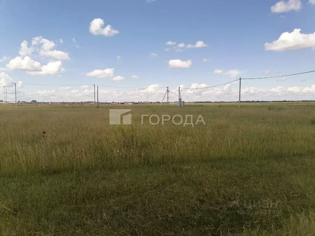 Участок в Новосибирская область, Новосибирский район, Толмачевский ... - Фото 2
