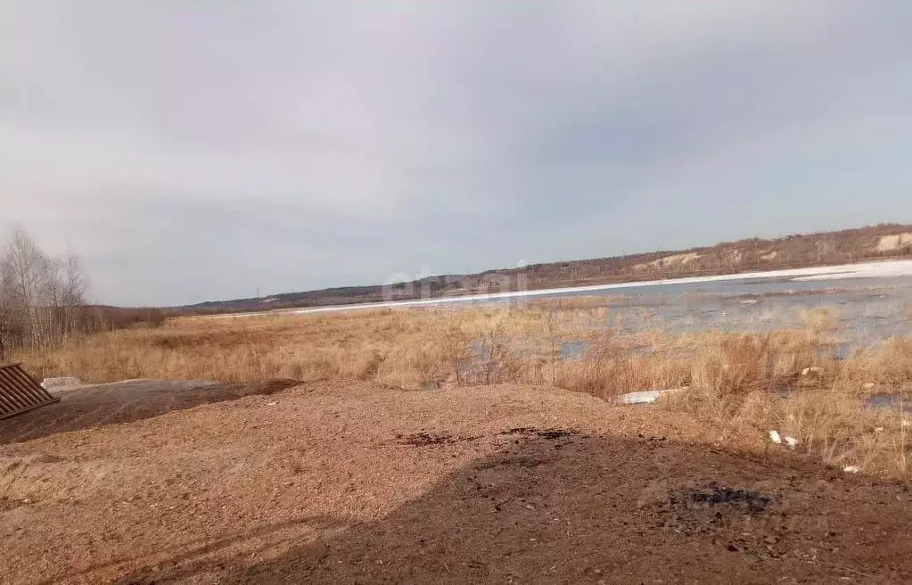 Участок в Амурская область, Благовещенский район, с. Чигири  (33.0 ... - Фото 0