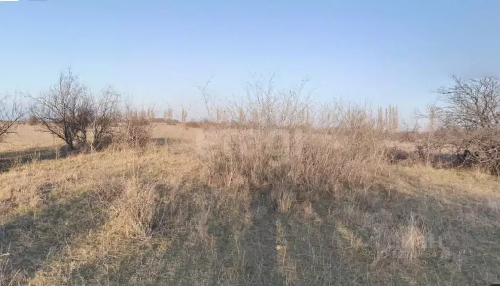 Участок в Крым, Кировский район, с. Яркое Поле ул. Энтузиастов (476.24 ... - Фото 1