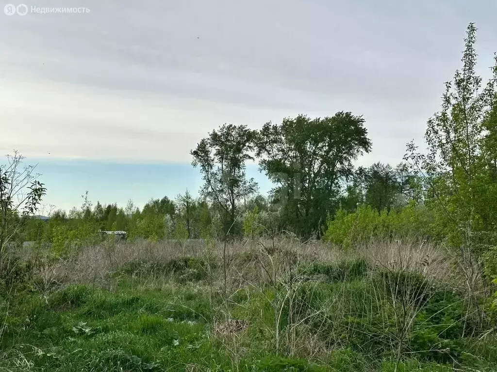 Участок в Чебаркульский округ, деревня Боровое, улица Гагарина (23.77 ... - Фото 1