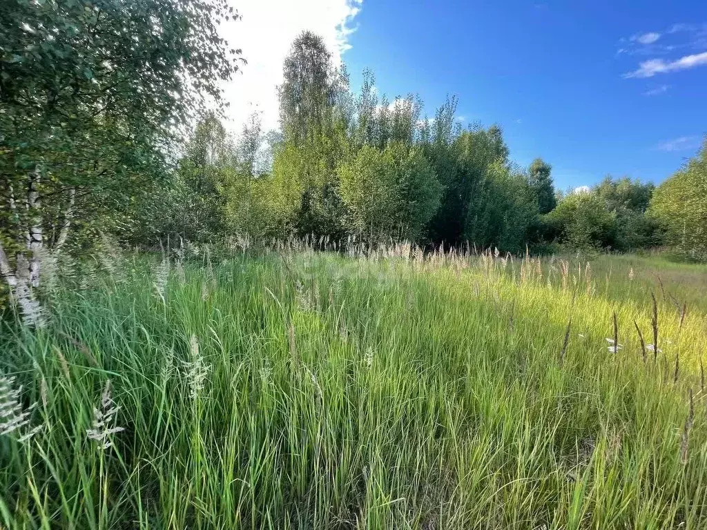 Участок в Нижегородская область, Бор городской округ, д. Воронино  ... - Фото 1