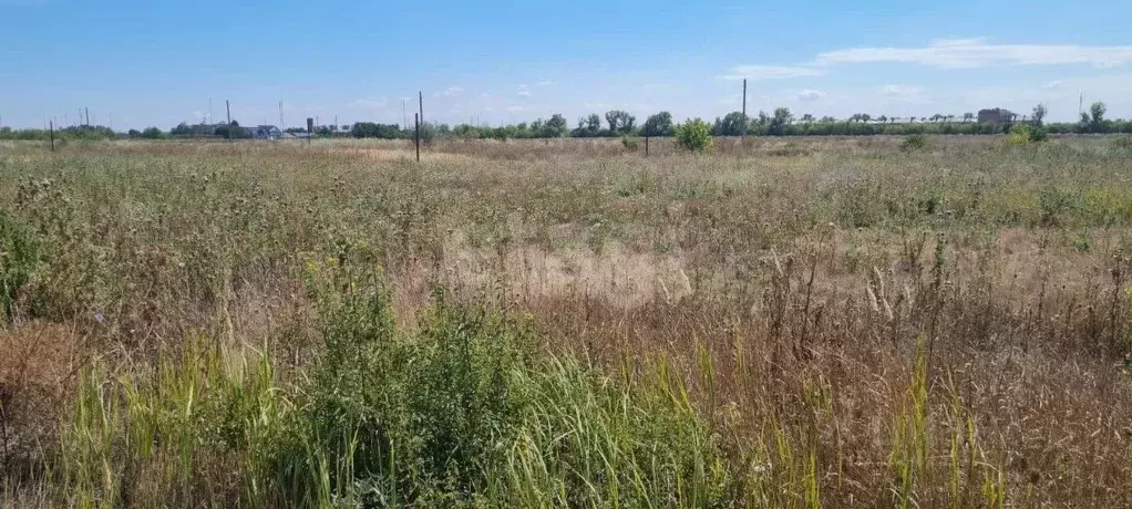 Участок в Ростовская область, Азовский район, Обильненское с/пос, пос. ... - Фото 1