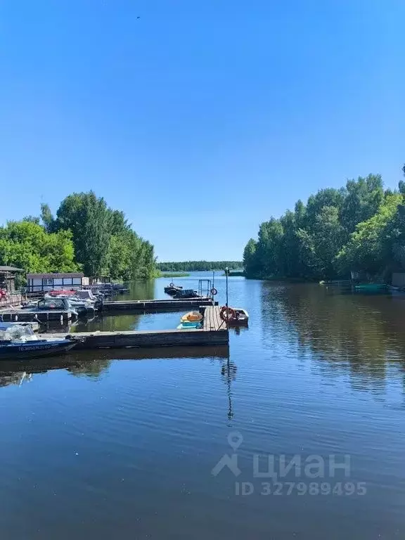 Дом в Тверская область, Весьегонск Заречная ул., 17 (155 м) - Фото 2