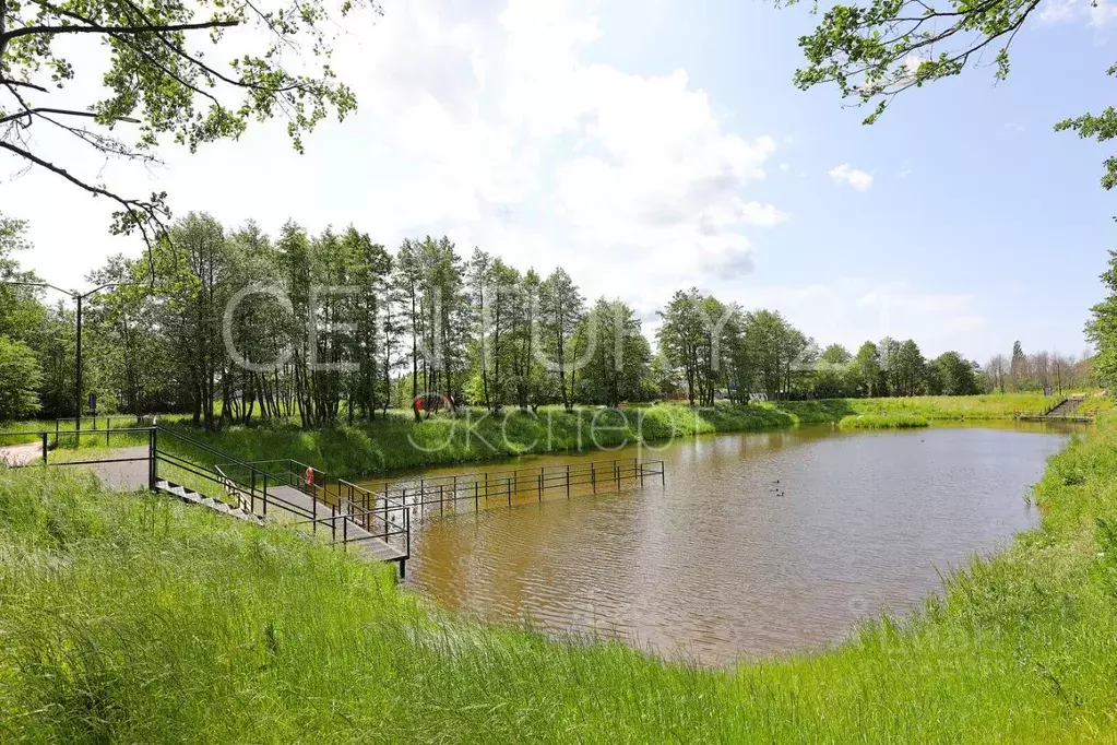 Студия Калининградская область, Пионерский Октябрьская ул., 6Б (30.0 ... - Фото 1