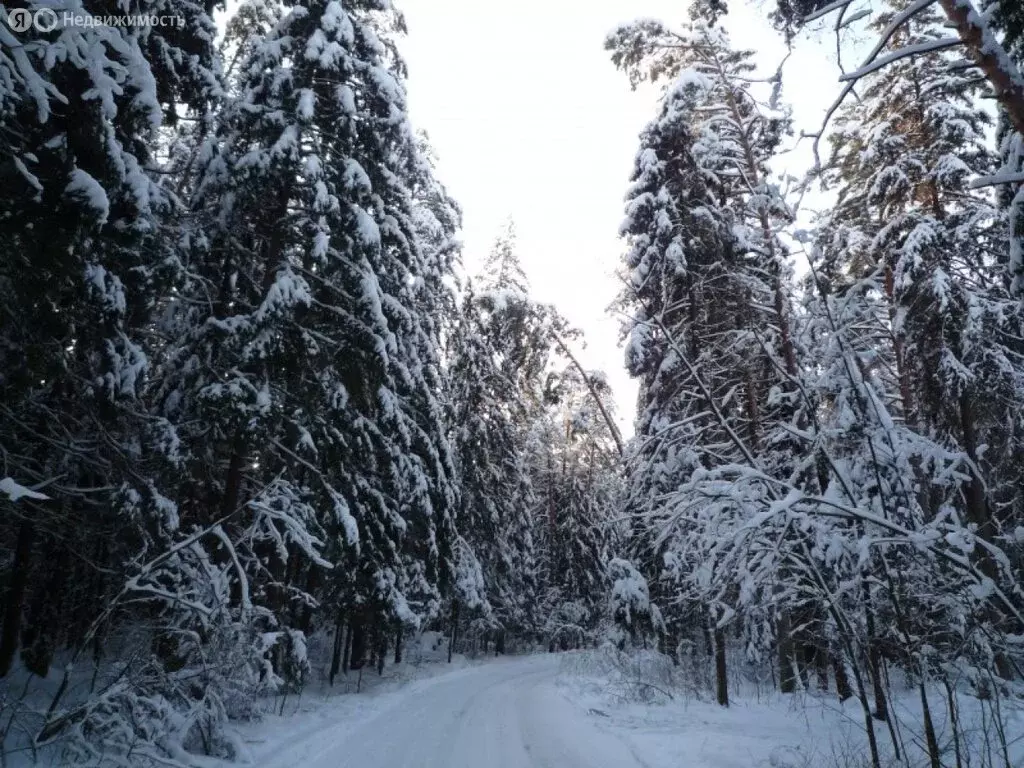 Участок в Маслово, КП Европа-1 (32 м) - Фото 0