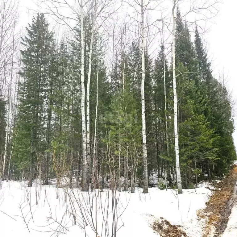 Участок в Ханты-Мансийский АО, Ханты-Мансийск Здоровье СОТ,  (13.8 ... - Фото 1