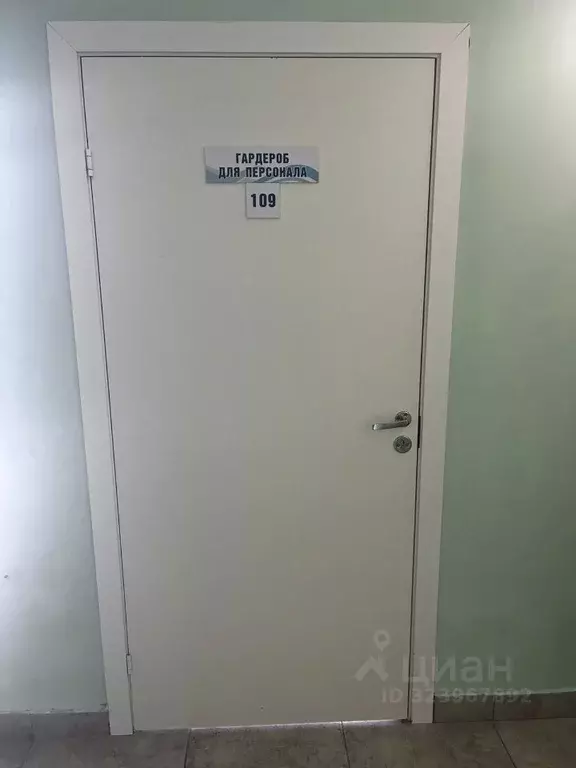 Помещение свободного назначения в Ленинградская область, Кингисепп ул. ... - Фото 1