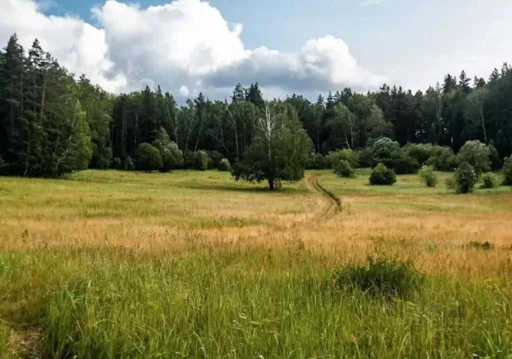 Участок в Ярославская область, Рыбинский муниципальный округ, д. ... - Фото 1