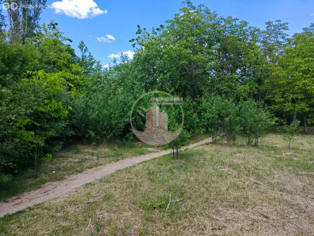 Участок в Сакский район, Веселовское сельское поселение, село Наташино ... - Фото 1