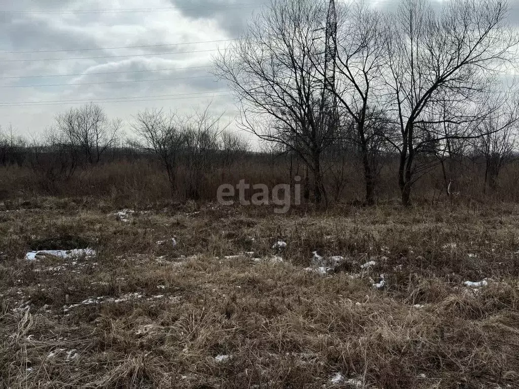 Участок в Приморский край, Артемовский городской округ, с. Кневичи ул. ... - Фото 1