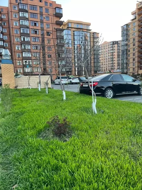 2-к кв. Дагестан, Каспийск ул. М. Халилова, 48Б (80.0 м) - Фото 2