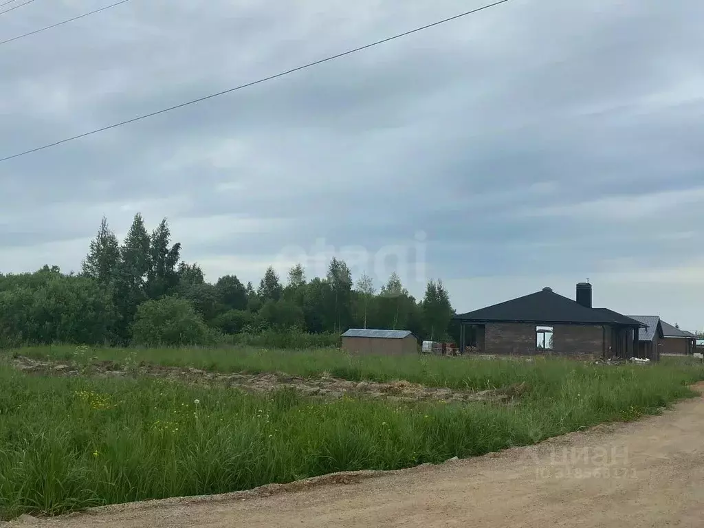 Участок в Костромская область, Красносельский район, Боровиковское ... - Фото 1