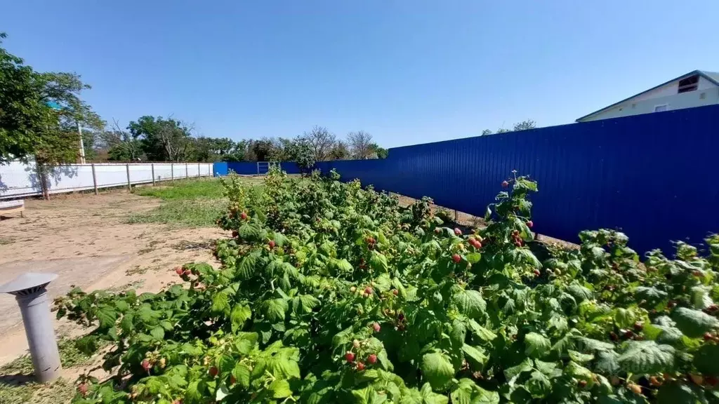 Дом в Краснодарский край, Темрюкский район, Фонталовское с/пос, пос. ... - Фото 2