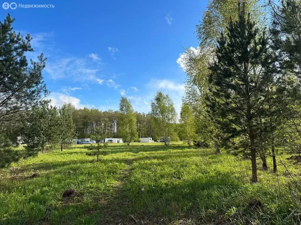 Участок в Раменский городской округ, деревня Дьяково, коттеджный ... - Фото 0