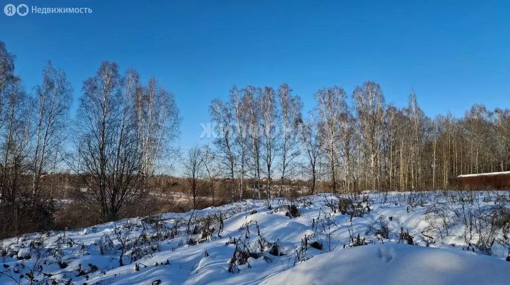 Участок в посёлок Зональная Станция, Ясная улица (2410 м) - Фото 0