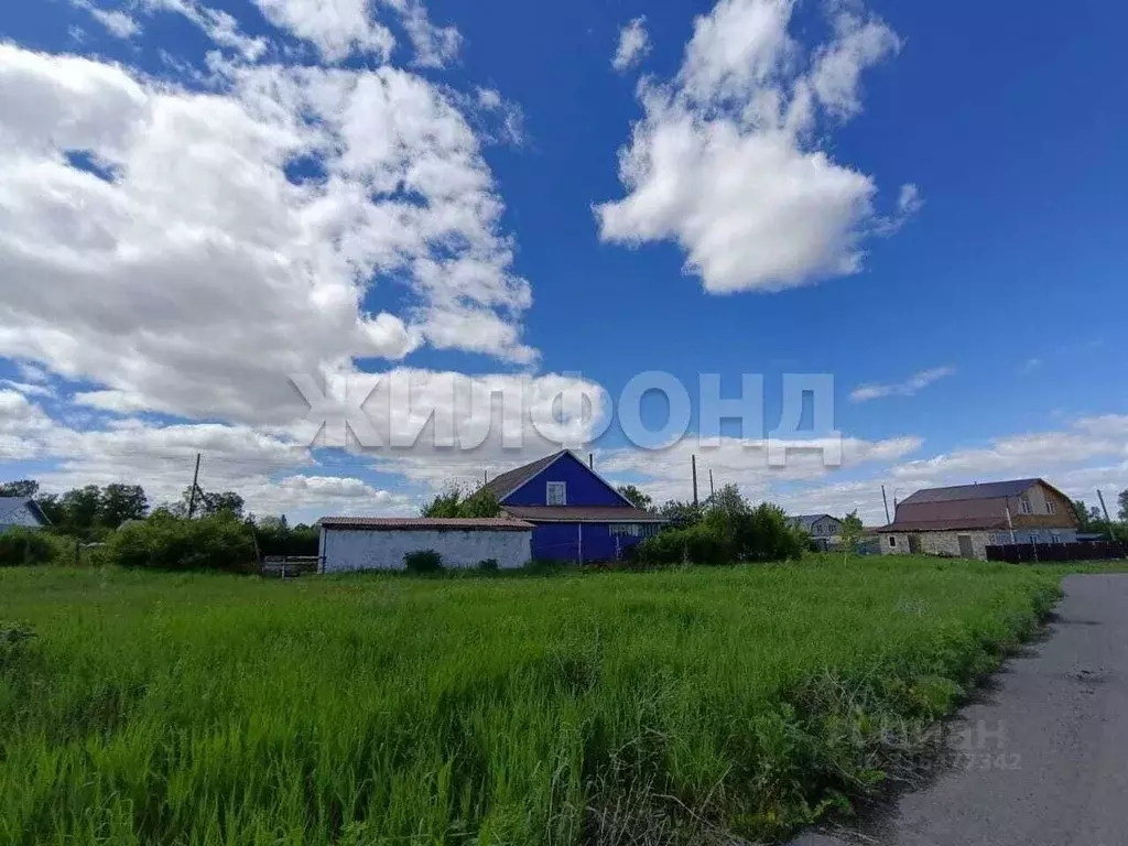 Дом в Алтайский край, Барнаул городской округ, пос. Березовка ул. ... - Фото 0