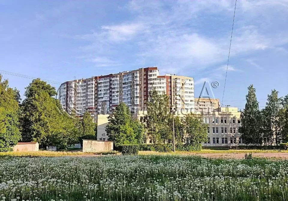 2-к кв. Санкт-Петербург ул. Вавиловых, 7к4 (124.5 м) - Фото 2