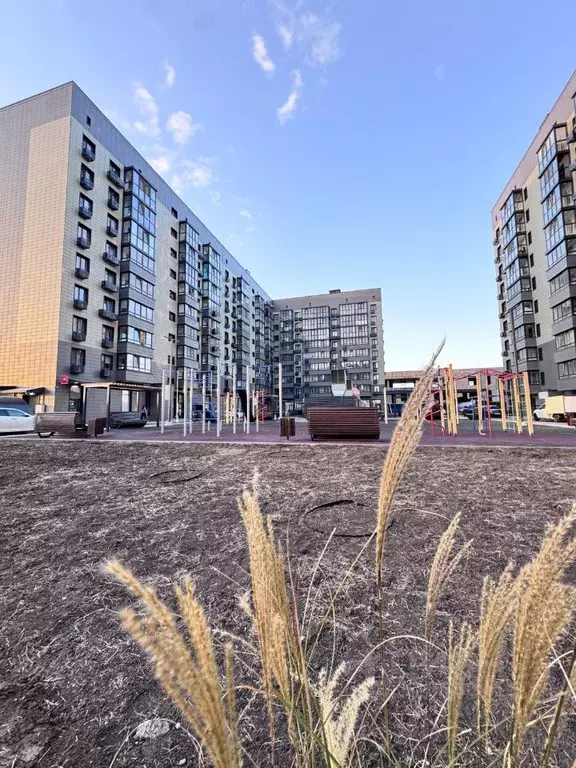 Студия Ростовская область, Ростов-на-Дону просп. Маршала Жукова, 18 ... - Фото 2